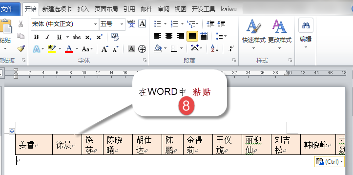 excelword04