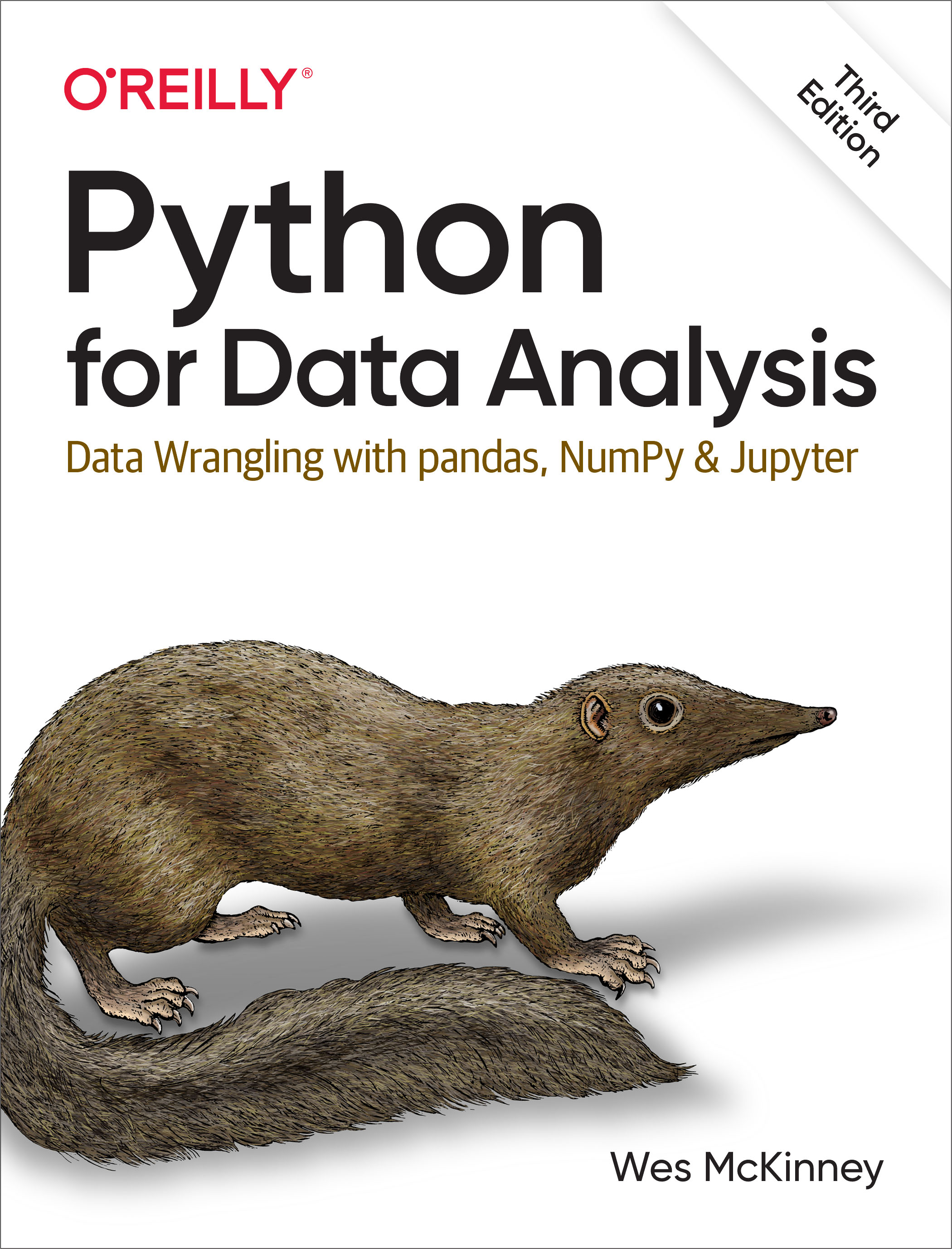 python data analysis en